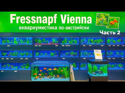 Видео: часть 2 Обзор аквариумного отдела Fressnapf Вена Австрия #Аквариумные рыбки #aquarium