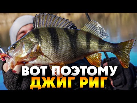 Видео: ОКУНЬ НА ДЖИГ РИГ! Убойные приманки на КРУПНОГО ОКУНЯ!