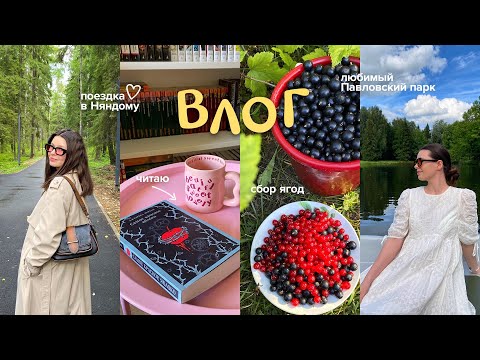Видео: «САМОЕ КРАСНОЕ ЯБЛОКО» 🍎 уютный книжный влог 📚 