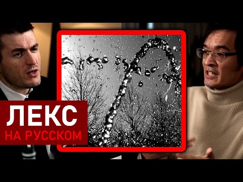 Видео: Гениальная идея Теренса Тао для решения Навье-Стокса: Жидкий компьютер | Лекс Фридман
