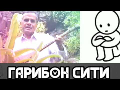 Видео: ТАГОЙМУРОД ХУШБАХТ- Бо сурудхои бехтари🤫🤫🤫🤫🤔🤔🤔