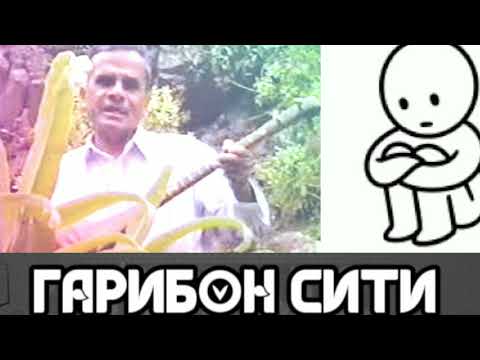 Видео: ТАГОЙМУРОД ХУШБАХТ- Бо сурудхои бехтари🤫🤫🤫🤫🤔🤔🤔