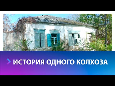 Видео: История одного колхоза