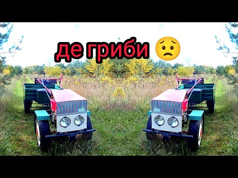 Видео: Мотоблок Форте. Поїздка по гриби.