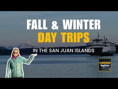 Видео: Лучшие развлечения в Анакортесе и на островах Сан-Хуан в несезонное время (зимний путеводитель)