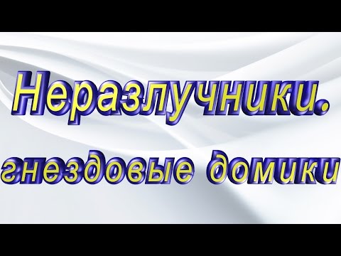 Видео: Неразлучники, вешаем гнездовые домики