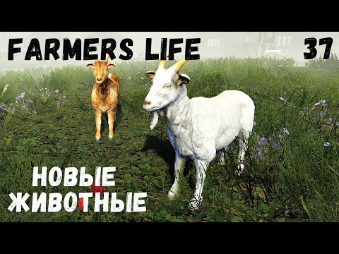 Видео: Farmer's Life - Обновление.  Добавили новых животных # 37