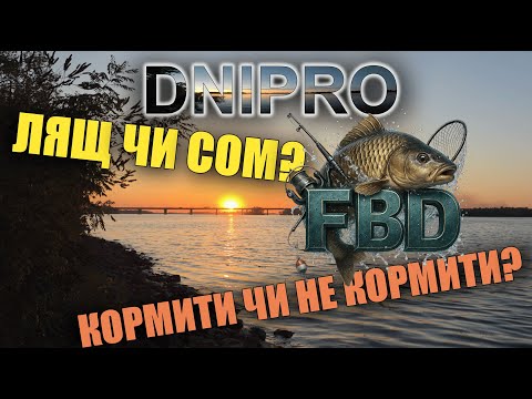 Видео: Фідер на Дніпрі Течія знесла ВСЕ! Хотіли ляща — клюнув сом! | Вечірня рибалка після роботи