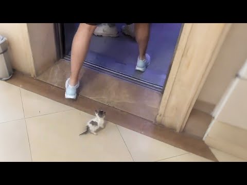 Видео: Он молил о помощи у лифта, но все делали вид, что не замечают…