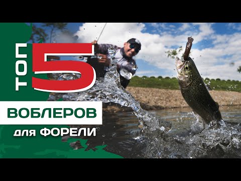Видео: ТОП 5 воблеров на форель от Федора Булько. Приманки для ареа ловли