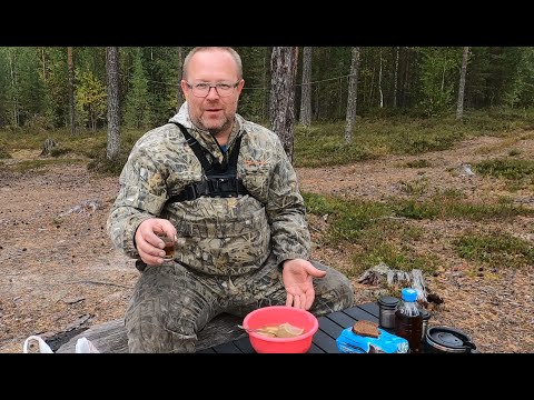 Видео: Рыбалка на таёжном озере в Карелии в сентябре.