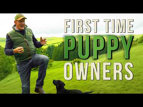Видео: ТОП-3 совета для вашего первого щенка — не совершайте ЭТИХ ОШИБОК