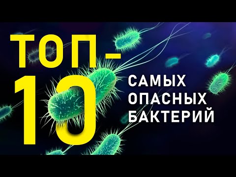 Видео: ТОП-10 самых опасных бактерий для человека. Список ВОЗ. |2021|Да Но
