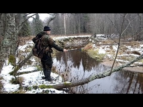 Видео: В поисках хариуса. Рыбалка на поплавочную удочку на лесной речке.