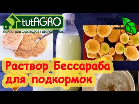 Видео: РАСТВОР БЕССАРАБА для подкормки растений. МНЕНИЕ БИОЛОГА. Вместо Байкала, Востока и прочих подобных.