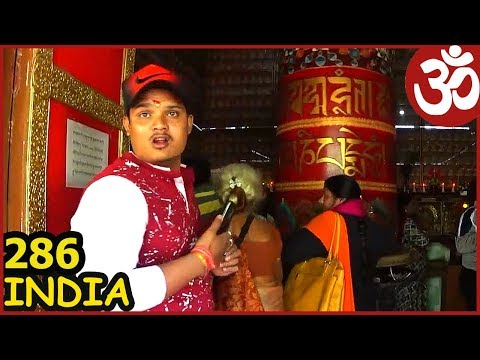 Видео: ИНДИЯ Дхарамсала . Укачало в автобусе. Далай Лама 14. Дхарамсала