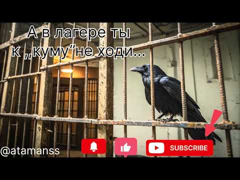 Видео: Песня ,, А в лагере ты к ,,куму’’ не ходи…’’