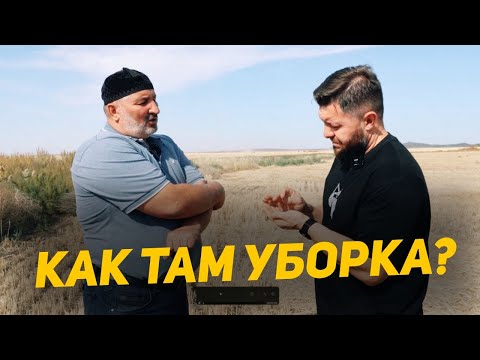 Видео: Уборка полным ходом! Акмолинская область Сандыктауский район!