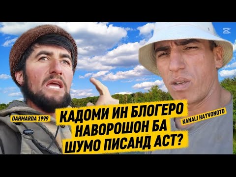 Видео: ДАХМАРДА 1999 ВА КАНАЛИ ХАЙВОНОТО КАДОМАШ БА ФИКРИ ШУМО НАВОРХОИ  ХУБ МЕКУНАНД ЖДУ КОМНТАРИИ 