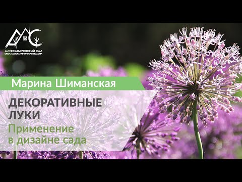 Видео: Декоративный лук в садовом дизайне
