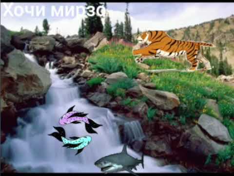 Видео: Хочи мирзо бехтарин савол чавоб хел хуб