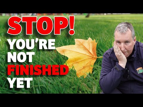 Видео: Сделайте это СЕЙЧАС, чтобы ваш газон выглядел лучше уже следующей весной (гарантировано)