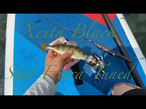 Видео: Рыбалка на сапсёрфе с Xesta Black Star Extra Tuned S54SUL-S The Finesse Unison