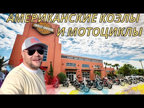 Видео: Рынок сша. Фермерский рынок в сша. Harley Davidson. Харлей обзор