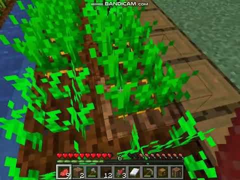 Видео: Майнкрафт 1часть