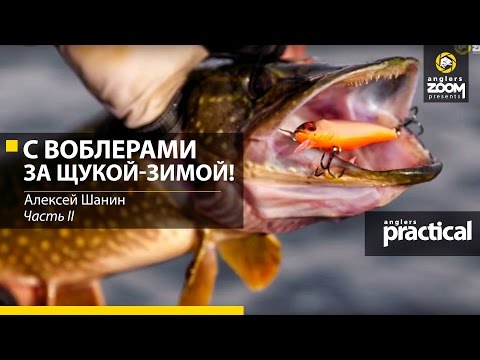 Видео: С воблерами за щукой - зимой! Алексей Шанин. Часть 2. Anglers Practical