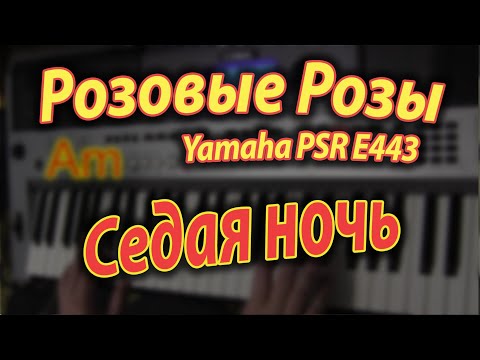 Видео: Светка Соколова и Седая ночь на Yamaha PSR E443 Хард рок, Аккорды