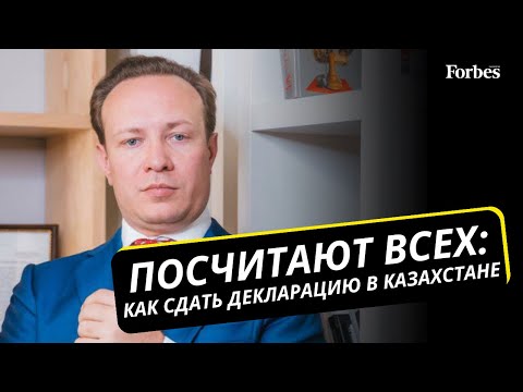 Видео: Максим Барышев рассказывает, кому и как надо заполнять декларацию об имуществе