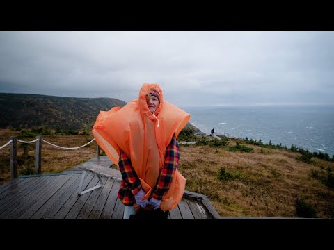 Видео: #11 Последние дни в Канаде | Итоги строительства дома на острове, делаем лестницу, чистим участок