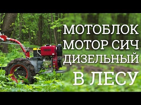 Видео: Мотоблок Мотор Сич дизельный 10 л.с. с прицепом в лесу