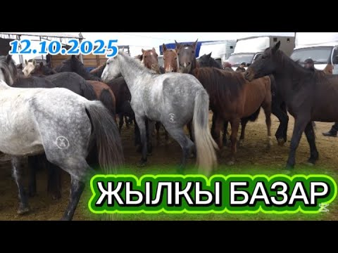 Видео: Тараз мал базары. Жылқы базар