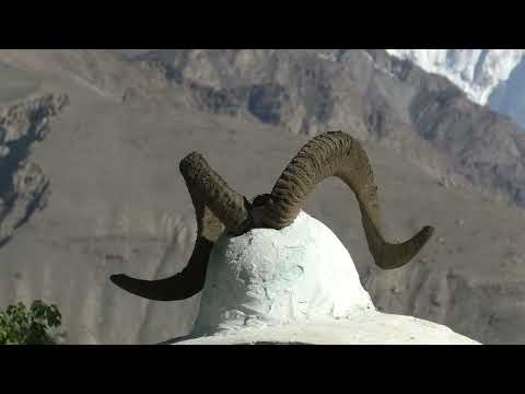 Видео: Вторая часть фильма "Памир- Легенды и предания" #ГБАО