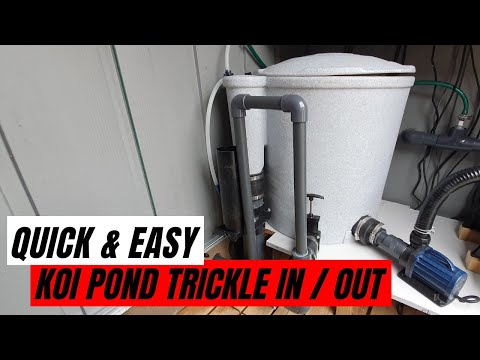 Видео: Быстрая и простая установка капельной подмены воды в пруду с кои