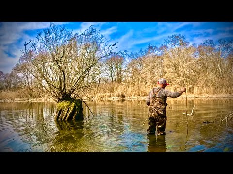 Видео: Нарешті! Відкрився на ПОПЛАВОК ВЕСНЯНИМ КАРАСЕМ!
