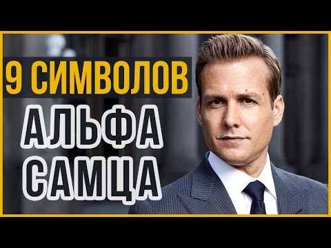 Видео: 9 Символов Статуса Альфа Самца | Покажи Силу и Авторитет