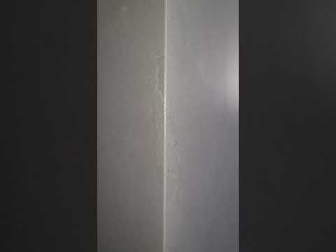 Видео: 31 октября 2025 г.