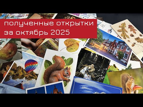 Видео: Обзор входящих открыток за октябрь 2025