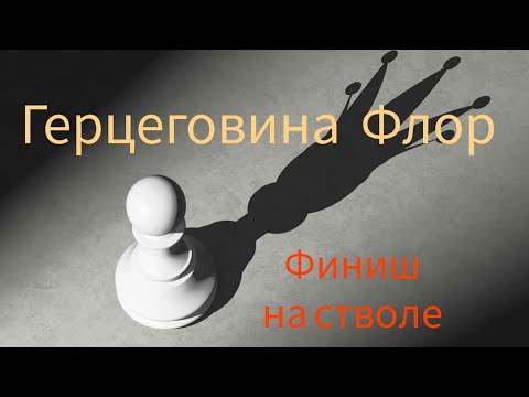 Видео: #табак Герцеговина Флор 