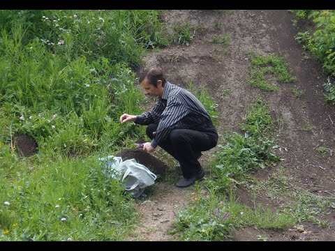 Видео: Как слепыши помогают выращивать алоэ