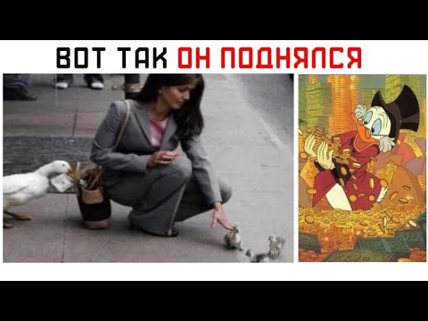 Видео: Лютые МЕМЫ. Скрудж Макдак - КРЫСА !!! ))))