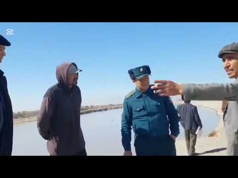 Видео: Гулом кулга тушди 23 сентября 2025 г.