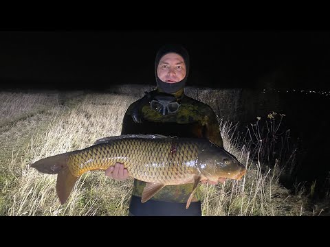 Видео: Очередная подводная охота на небольшой речке нашли немного сазана и взяли пару сомиков ￼