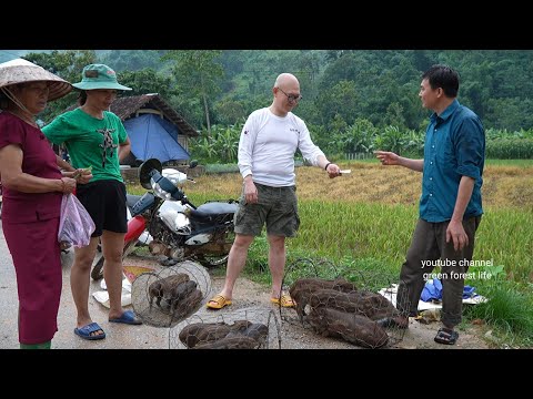 Видео: Роберт продал кабана корейцу.  Зеленая лесная жизнь