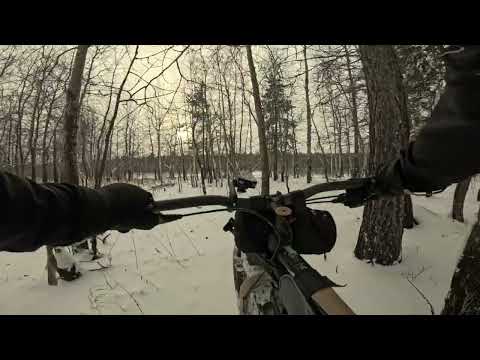 Видео: 08.11. 2025 Провалился в ручей на фэте.