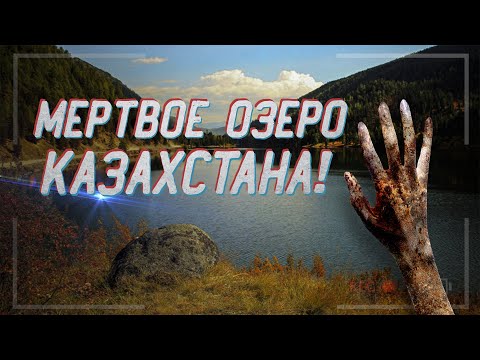 Видео: Аномальное Мертвое Озеро в КАЗАХСТАНЕ!