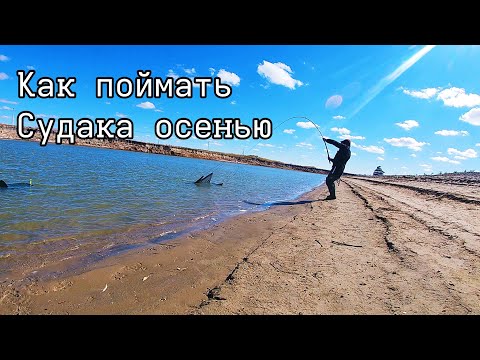 Видео: КАК И НА ЧТО ЛОВИТЬ СУДАКА ОСЕНЬЮ! РЫБАЛКА В КАЗАХСТАНЕ.